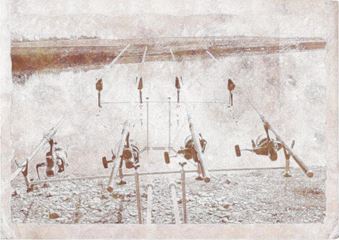 Poze reusite si nereusite